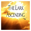 The Lark Ascending | Sir Andrew Davis