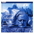 Sibelius : Miniature Masterpieces | Erkki Rautio & Izumi Tateno