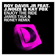 Enjoy The Ride (feat. J. Noize & Kaye Fox) | Roy Davis Jr.