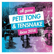 All Gone Pete Tong & Tensnake Ibiza 2014 | Pete Tong