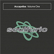 Soulfuric Accapellas, Vol. 1 | Soul Searcher