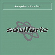 Soulfuric Accapellas, Vol. 2 | Soul Searcher