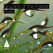 Sounds of the Forest | Elysée