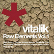 Raw Elements Vol. 1 | Franklin De Costa