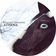 Bosconi Stallions - Athena | The Oliverwho Factory