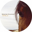 Bosconi Stallions - Apacz | Herva