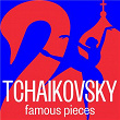 Tchaikovsky: Famous Pieces | Mikhail Pletnev