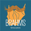 Brahms: Famous Pieces | Marek Janowski