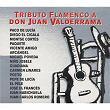 Tributo Flamenco A Don Juan Valderrama | Juanito Valderrama