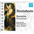 DHM Splendeurs: Buxtehude Sonatas | Stravagante Capriccio