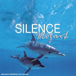 Silence Mozart | James Galway