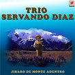 Jíbaro De Monte Adentro | Trio Servando Diaz