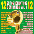 12 Éxitos Románticos Con Banda, Vol. 4 | Pancho Barraza