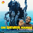Om Namashivaya | Ramesh Narayan