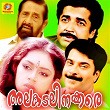 Alakadalinakkare (Original Motion Picture Soundtrack) | Gangai Amaran