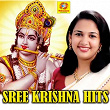 Sree Krishna Hits | Sindhu Premkumar
