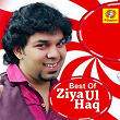 Best of Ziya Ul Haq | Ziya Ul Haq