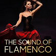 The Sound of Flamenco | Kenichi Tamura