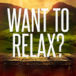 Want to Relax | Paolo Pacciolla
