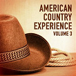 The American Country Experience, Vol. 3 | Linda Martell