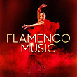 Flamenco Music | El Ferro