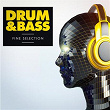 Drum & Bass - A Fine Selection | Bertrand Blessing, M. C. A. K.