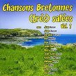 Chansons bretonnes (très) salées, vol. 1 | Fanch Le Marrec