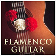 Flamenco Guitar | La Boquita