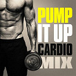 Pump It Up Cardio Mix | Allsortsdigital Inc