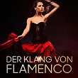 Der Klang von Flamenco | Manolo, Miguel
