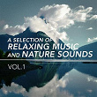 A Selection of Relaxing Music and Nature Sounds, Vol. 1 | Alessio De Franzoni