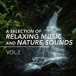 A Selection of Relaxing Music and Nature Sounds, Vol. 2 | Nature's Sonic Environments & Sounds