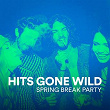 Hits Gone Wild (Spring Break Party) | Dwayne