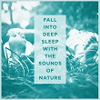 Fall Into Deep Sleep With the Sounds of Nature | Alessio De Franzoni