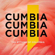 Cumbia: The Rhythm of Columbia | Calixto Ochoa