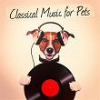 Classical Music for Pets | The Image Orchestra