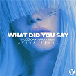 What Did You Say (AVIRA Remix) | Hugo Cantarra