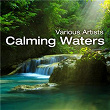 Calming Waters | John Bickerton
