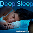 Deep Sleep | John St John