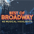 Best of Broadway: 40 Musical Highlights | Issy Van Randwyck