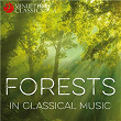 Forests in Classical Music | Donna Amato