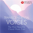 Transcendental Voices: The Most Beautiful Choral Music Ever | The Choir Of Magdalen College, Oxford