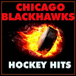 Chicago Blackhawks Hockey Hits | Sports All-stars