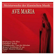 Meisterwerke der klassischen Musik: Ave Maria | Neues Bachisches Collegium Musicum Leipzig