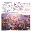 Sonate natalis | Capella Fidicinia Leipzig