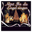 Hört ihr die Engel singen | Bozener Domchor