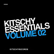 Kitschy Essentials, Vol. 2 | Dj Eako, Alex The Noise