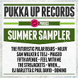 Pukka Up Records (Summer Sampler) | The Futuristic Polar Bears