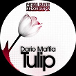 Tulip | Dario Maffia