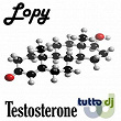 Testosterone | Lopy